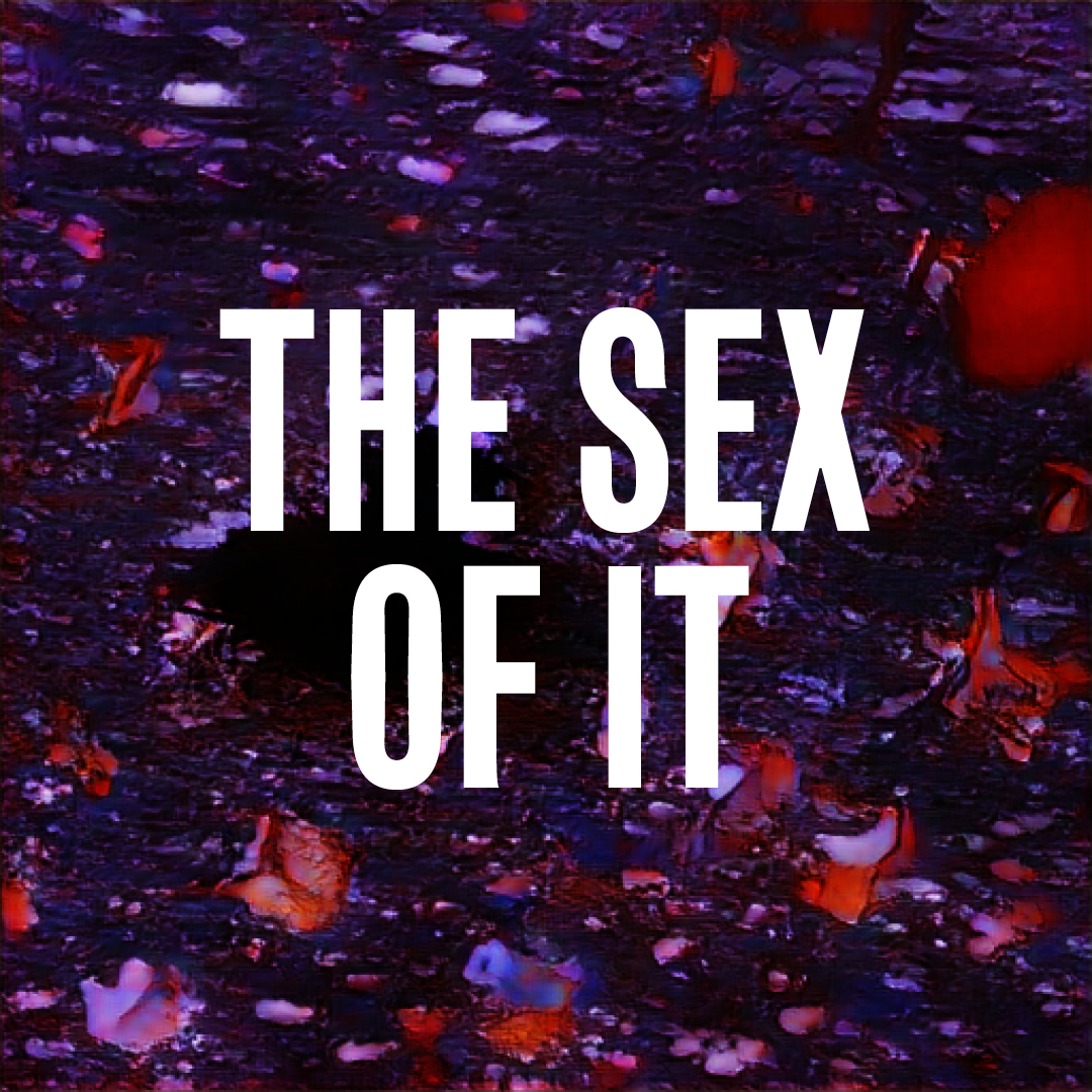 107: The Sex of It - 500 Prince Songs